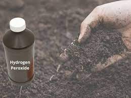 How To Sterilize Soil