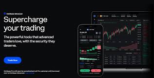 ideal partner for experienced traders