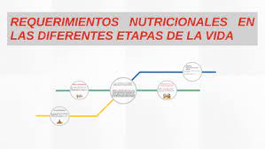 requerimientos nutricionales en las