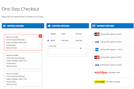 Worldpay For Magento 2