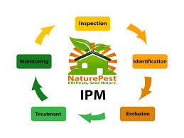 Pest control businesses in tampa, florida, usa: Integrated Pest Management Ipm Vs Conventional Insecticide