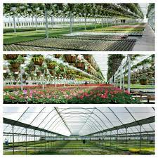 amherst greenhouse 644 county road 126