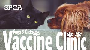 12,851 likes · 1,341 talking about this. Low Cost Vaccine Clinic Spca Of Anne Arundel County