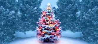 history of christmas trees symbolism