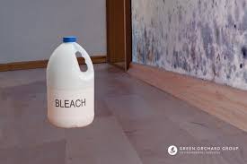 Use Bleach To Kill Mold