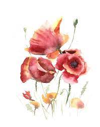 Poppies Fine Art Print Watercolor Red