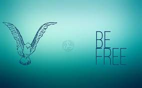 be free logo birds colibri bird