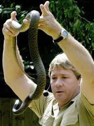'the crocodile hunter' was fatally attacked by a stingray while shooting. Irwin Stabbed Hundreds Of Times By Stingray Thejournal Ie