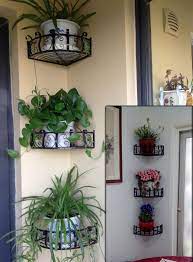 Plant Decor House Plants Decor Small