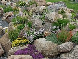 Tips For Designing A Rock Garden Hunker