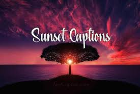 We have the perfect sunset quotes to sum up the beauty of the evening sky. Sunset Captions And Clever Puns For Sunset Pictures Anycaption