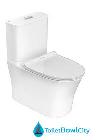 American Standard Toilet Bowl Toilet