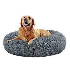 Habitat, Homebase, TK Maxx or Wilko Dog Beds For Sale? - Best Dog Bed Deals  & Offers