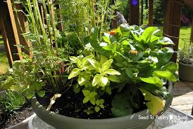 Food In A Container Garden