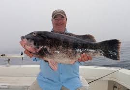 Virginia Saltwater Fishing Tournament State Record Landed