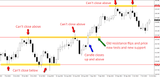 candlestick patterns action