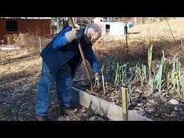 Winter Vegetable Gardening In