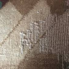 majestic rug cleaning 21 photos 11