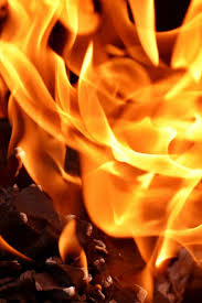 firefighters extinguish blaze in woods