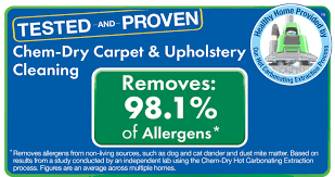 top rated carpet cleaners palatine illinois