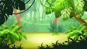 tropical forest images free