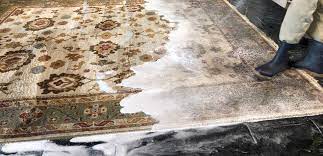 oriental rug washing st louis
