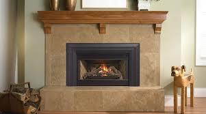 Gas Insert Fireplace Fireplace Gas