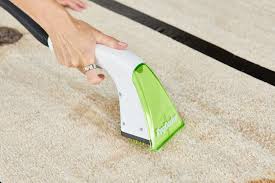 the 8 best carpet cleaners for pets in 2024