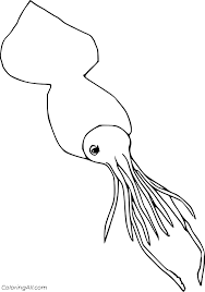 A picture of a giant squid lurking below, found on the giant squid wikipedia page. Colossal Squid Coloring Page Coloringall