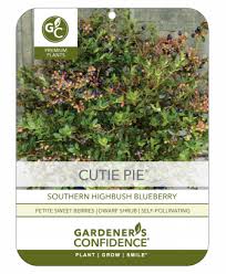 Cutie Pie Gardeners Confidence