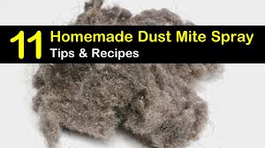 dust mites 11 homemade dust mite spray