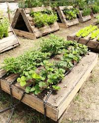 Raised Garden Beds Made Out Of Pallets