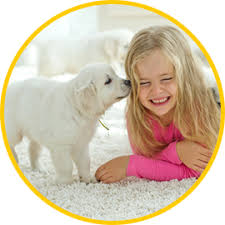 carpet cleaning in gold coast