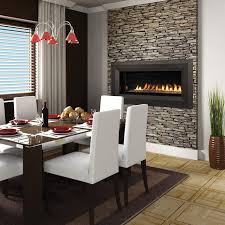 Contemporary Gas Fireplace Inserts By