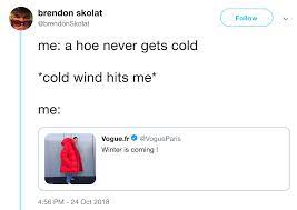A Hoe Never Gets Cold | Kendall Jenner's Massive Jacket | Know Your Meme