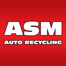 Salvage title insurance is available but may be limited and the insurance could be costly. Salvage Cars Damaged Cars For Sale Car Auction Asm Auto Recycling