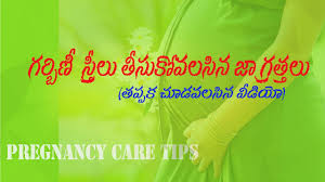 13 Pregnancy Care Tips First 3 Months In Telugu Diet For