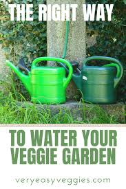 The Very Easy Veggie Garden