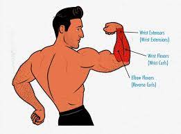 forearm training how to build bigger