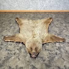 toklat grizzly bear full size rug mount
