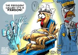 Image result for presidential turkey pardon