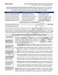 Executive Resume Sample Chief Information Officer Executive Resume