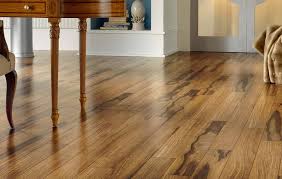 how to clean and care for vinyl floors