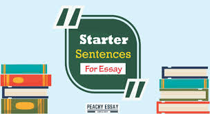 starter sentences for essays exles