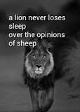 what-does-a-lion-never-loses-sleep-over-the-opinions-of-sheep-mean