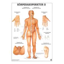 Wall Chart Body Acupuncture Ii Lxw 100x70 Cm