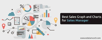 Best Sales Graph And Charts For Sales Manager Ezdatamunch