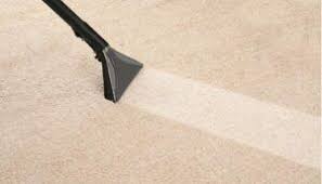 top 5 types of carpet cleaning methods