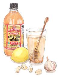 apple cider vinegar honey garlic and