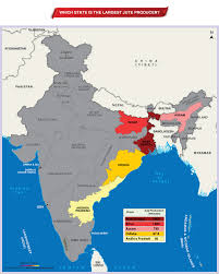 Which State Is Biggest Jute Producer State Of India